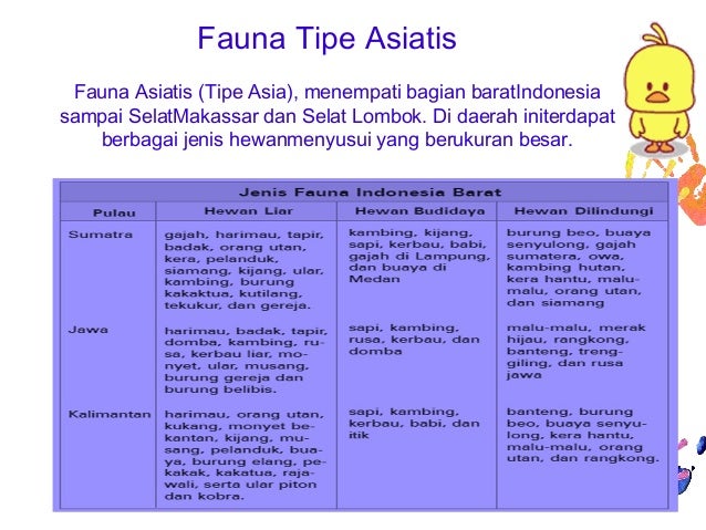 Ciri Ciri Flora Dan Fauna Asiatis - Ini Cirinya