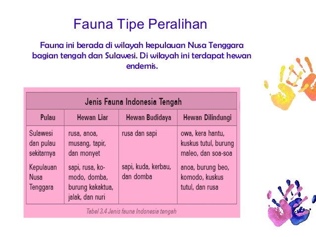 Powerpoint persebaran flora  fauna  di indonesia