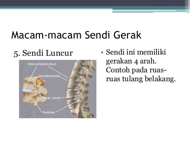 Persendian