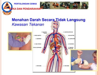 Menahan Darah Secara Tidak Langsung
Kawasan Tekanan
PERTOLONGAN CEMAS
LUKA DAN PENDARAHAN
 