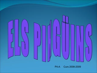 ELS PINGÜINS P4-A  Curs 2008-2009 
