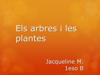 Els arbres i les
plantes

       Jacqueline M.
             1eso B
 