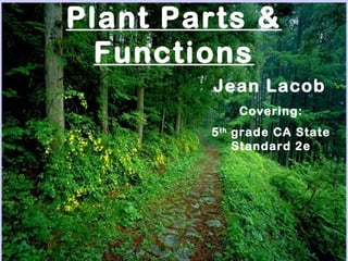 Plant Parts &
Functions
Jean Lacob
Covering:
5th
grade CA State
Standard 2e
 