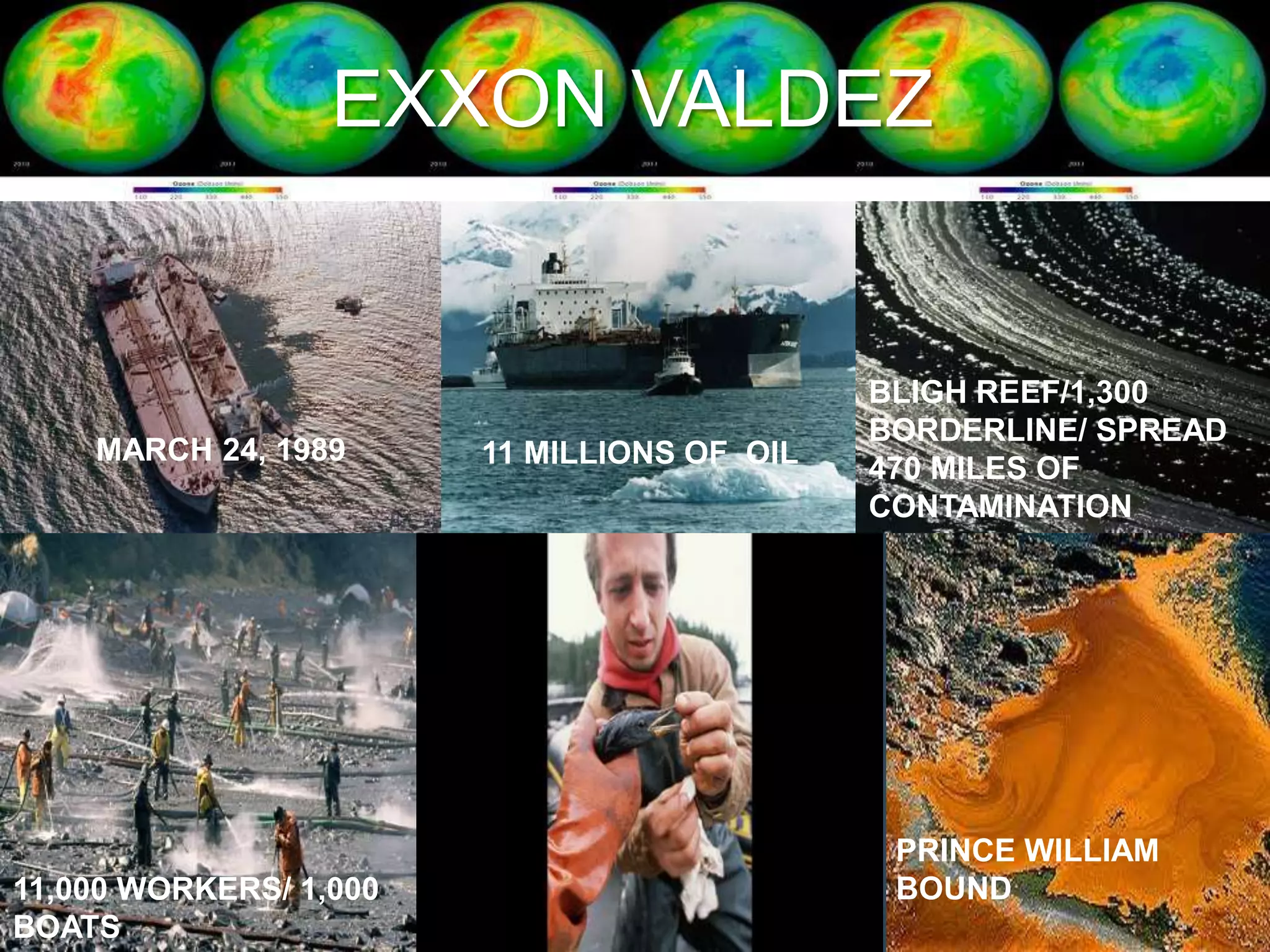 EXXON VALDEZ
BLIGH REEF/1,300
BORDERLINE/ SPREAD
MARCH 24, 1989 11 MILLIONS OF OIL 470 MILES OF
CONTAMINATION
PRINCE WILLIAM
11,000 WORKERS/ 1,000 BOUND
BOATS