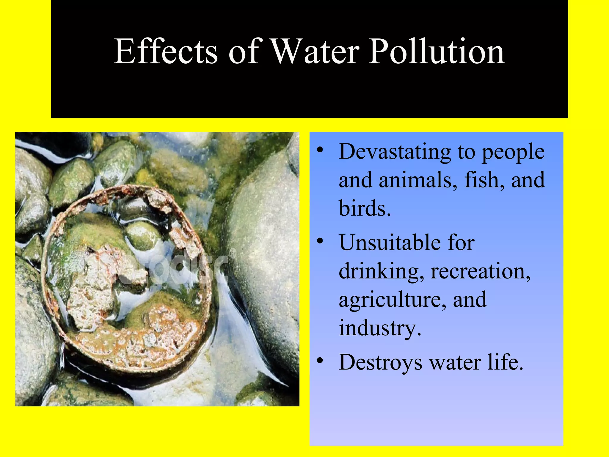 15
Effects of Water Pollution
• Devastating to people
and animals, fish, and
birds.
• Unsuitable for
drinking, recreation,
agriculture, and
industry.
• Destroys water life.
 