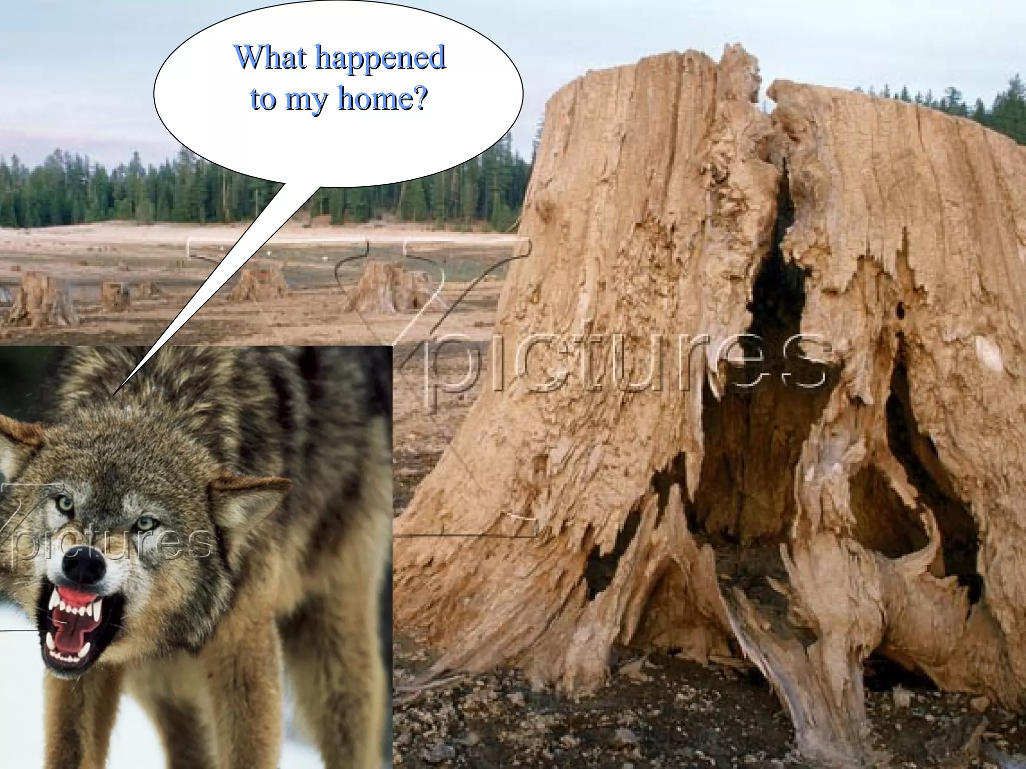 16
What happenedWhat happened
to my home?to my home?
 