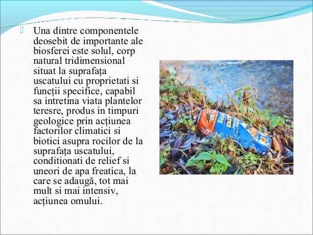 Power Point Poluare