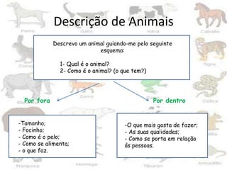 Descrição de Animais    Por fora                                      Por dentro Descrevo um animal guiando-me pelo seguinte esquema:           1- Qual é o animal?           2- Como é o animal? (o que tem?)    Tamanho;
