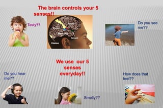 Do you see 
me?? 
The brain controls your 5 
senses!! 
We use our 5 
senses 
everyday!! How does that 
feel?? 
