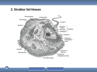 Power Point PR Biologi 11A Biologi Ed. 2019 [www.defantri.com].pptx