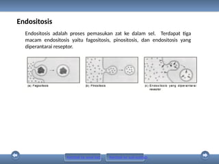 Power Point PR Biologi 11A Biologi Ed. 2019 [www.defantri.com].pptx