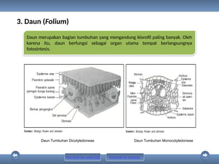 Power Point PR Biologi 11A Biologi Ed. 2019 [www.defantri.com].pptx