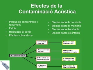 Efectes de la  Contaminació Acústica Pèrdua de concentració i rendiment Estrès Habituació al soroll Efectes sobre el son Efectes sobre la conducta Efectes sobre la memòria Efectes sobre l’embaràs Efectes sobre els infants 