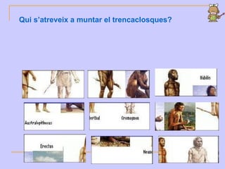 Qui s’atreveix a muntar el trencaclosques?
 