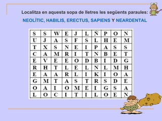 Localitza en aquesta sopa de lletres les següents paraules:
NEOLÍTIC, HABILIS, ERECTUS, SAPIENS Y NEARDENTAL
 
