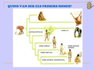 QUINS VAN SER ELS PRIMERS HOMES?
AUSTRALOPITECUS
GORIL·LA
HOMO HABILIS
HOMO ERECTUS
HOMO SAPIENS: NEARDENTHAL
HOMO SAPIENS
SAPIENS
 