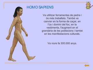 HOMO SAPIENS
Va utilitzar ferramentes de pedra i
ós més treballats. També va
canviar en la forma de caçar, en
l’ús i domini del foc, en la
vestimenta, l'augment en el
grandària de les poblacions i també
en les manifestacions culturals.
Va viure fa 300.000 anys.
 