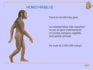 HOMO HÀBILIS
Tenia el cervell més gran.
La característica més important
va ser el canvi d’alimentació:
no només menjava vegetals
sinó també animals
Va viure fa 2.000.000 d’anys
 