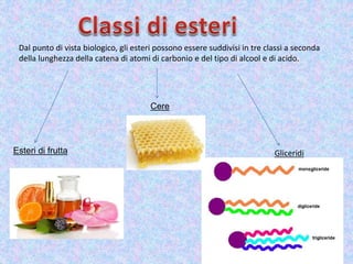 Dal punto di vista biologico, gli esteri possono essere suddivisi in tre classi a seconda
della lunghezza della catena di atomi di carbonio e del tipo di alcool e di acido.
Esteri di frutta
Cere
Gliceridi
 
