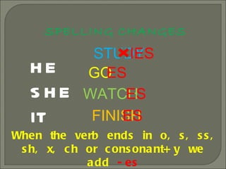 SPELLING CHANGES HE SHE IT STUDY GO WATCH IES ES ES FINISH ES When the verb ends in o, s, ss, sh, x, ch or consonant+y we add  -es 