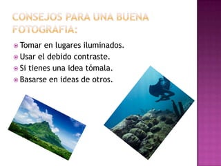  Tomar

en lugares iluminados.
 Usar el debido contraste.
 Si tienes una idea tómala.
 Basarse en ideas de otros.

 