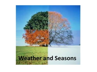 Weather and Seasons 