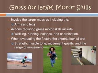 Gross (or large) Motor SkillsInvolve the larger muscles including the:Arms and legsActions requiring gross motor skills include:Walking, running, balance, and coordination. When evaluating the factors the experts look at are:Strength, muscle tone, movement quality, and the range of movement.