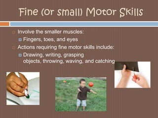 Fine (or small) Motor SkillsInvolve the smaller muscles:Fingers, toes, and eyesActions requiring fine motor skills include:Drawing, writing, grasping objects, throwing, waving, and catching.