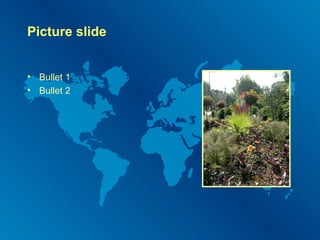 Picture slide Bullet 1 Bullet 2 