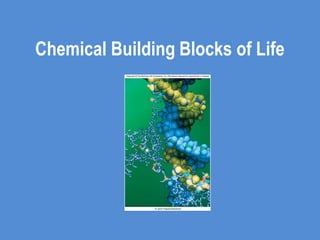 Chemical Building Blocks of Life 