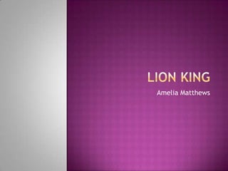 Lion King Amelia Matthews 