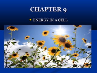CHAPTER 9


ENERGY IN A CELL

 