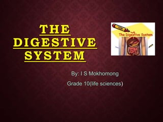THE
DIGESTIVE
SYSTEM
By: I S Mokhomong
Grade 10(life sciences)

 