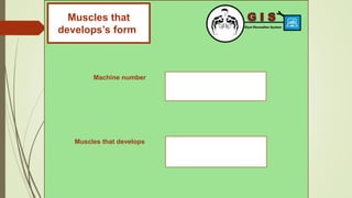 Muscles that
develops’s formt
Machine number
Muscles that develops
 