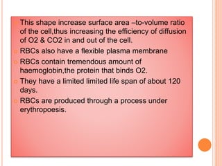  This shape increase surface area –to-volume ratio 
of the cell,thus increasing the efficiency of diffusion 
of O2 & CO2 in and out of the cell. 
 RBCs also have a flexible plasma membrane 
 RBCs contain tremendous amount of 
haemoglobin,the protein that binds O2. 
 They have a limited limited life span of about 120 
days. 
 RBCs are produced through a process under 
erythropoesis. 
 
