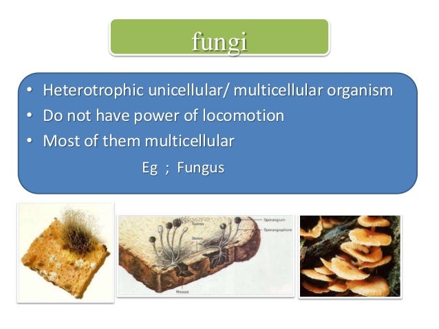 Power Point Presentation