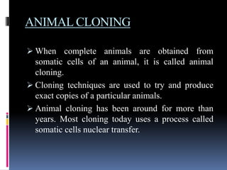 Power point presentation | PPTX