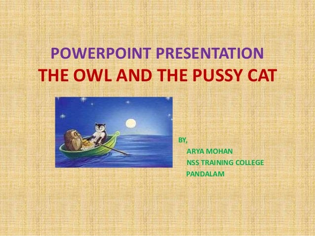 Pussy Presentation 61