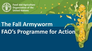 The Fall Armyworm
FAO’s Programme for Action
 