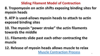 PowerPoint Presentation+.ppt | Free Download