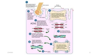 PowerPoint Presentation+.ppt