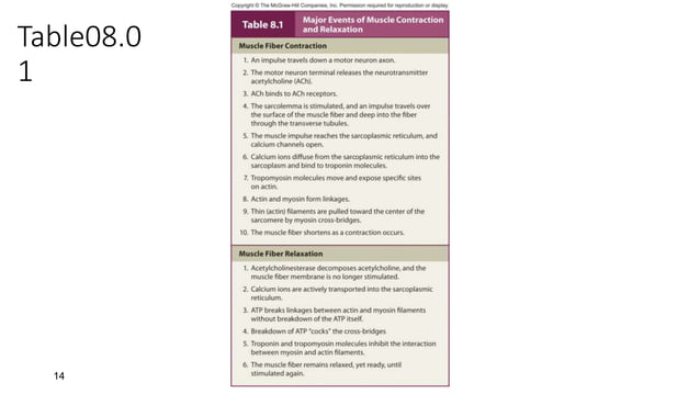 PowerPoint Presentation+.ppt