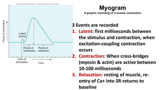 PowerPoint Presentation+.ppt | Free Download
