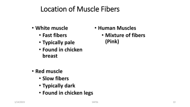 PowerPoint Presentation+.ppt