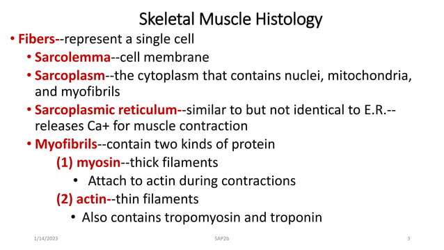 PowerPoint Presentation+.ppt