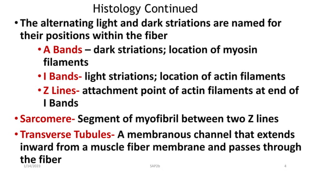PowerPoint Presentation+.ppt