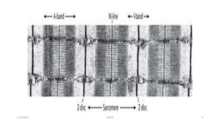 PowerPoint Presentation+.ppt