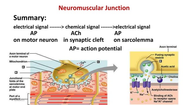 PowerPoint Presentation+.ppt
