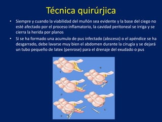 Técnica quirúrjica
• Siempre y cuando la viabilidad del muñón sea evidente y la base del ciego no
esté afectado por el proceso inflamatorio, la cavidad peritoneal se irriga y se
cierra la herida por planos
• Si se ha formado una acumulo de pus infectado (absceso) o el apéndice se ha
desgarrado, debe lavarse muy bien el abdomen durante la cirugía y se dejará
un tubo pequeño de latex (penrose) para el drenaje del exudado o pus
 