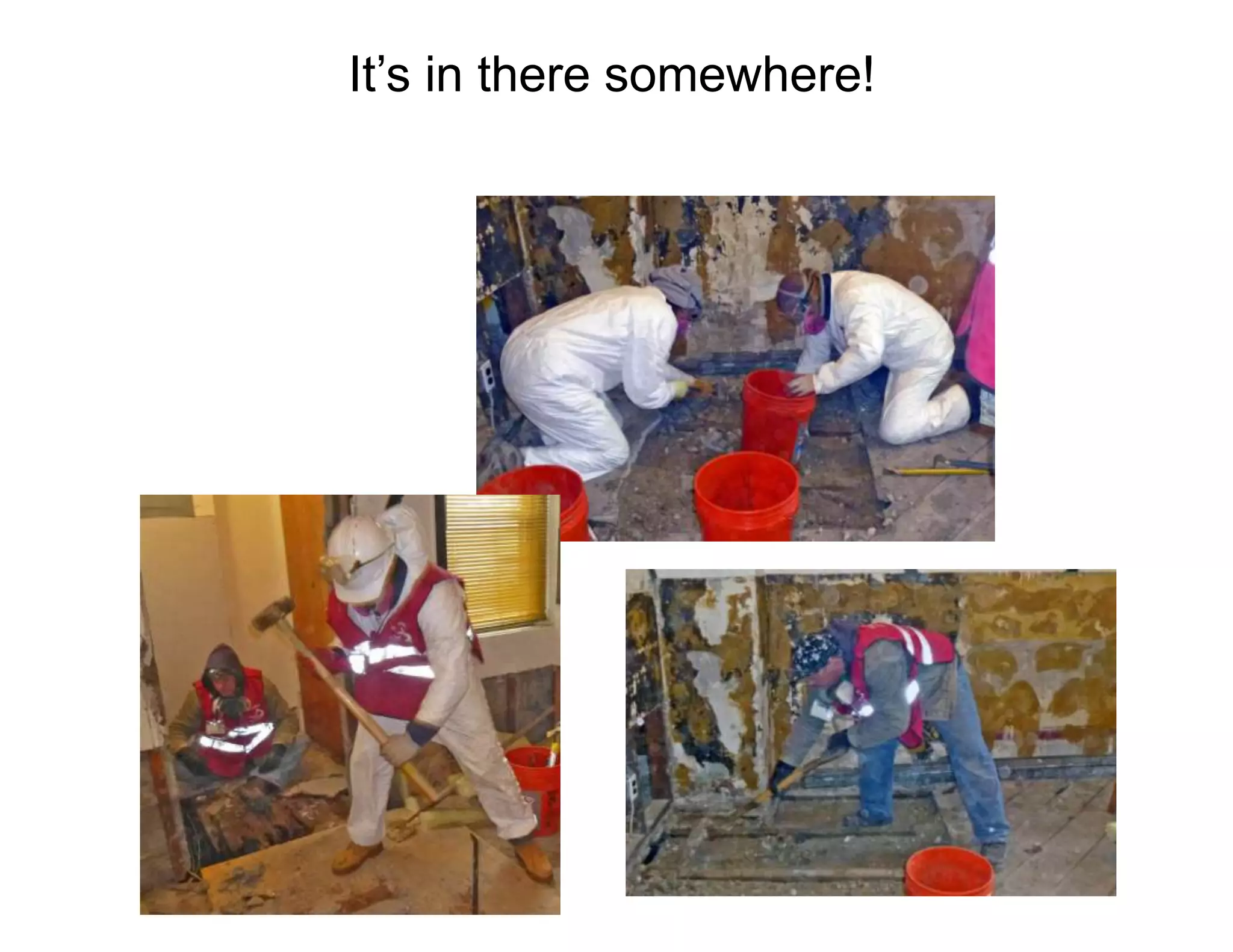 It’s in there somewhere!